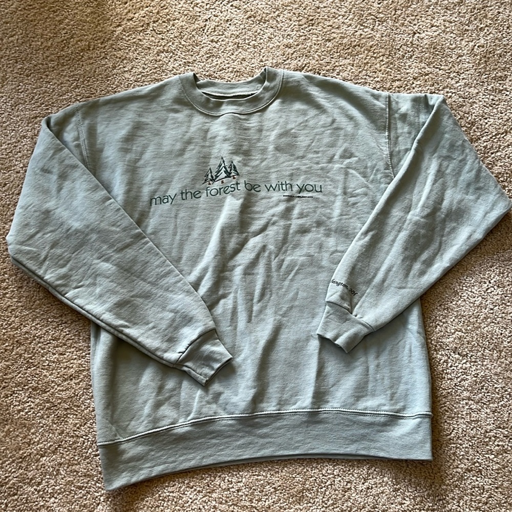 Novelty sage green crew neck sweatshirt